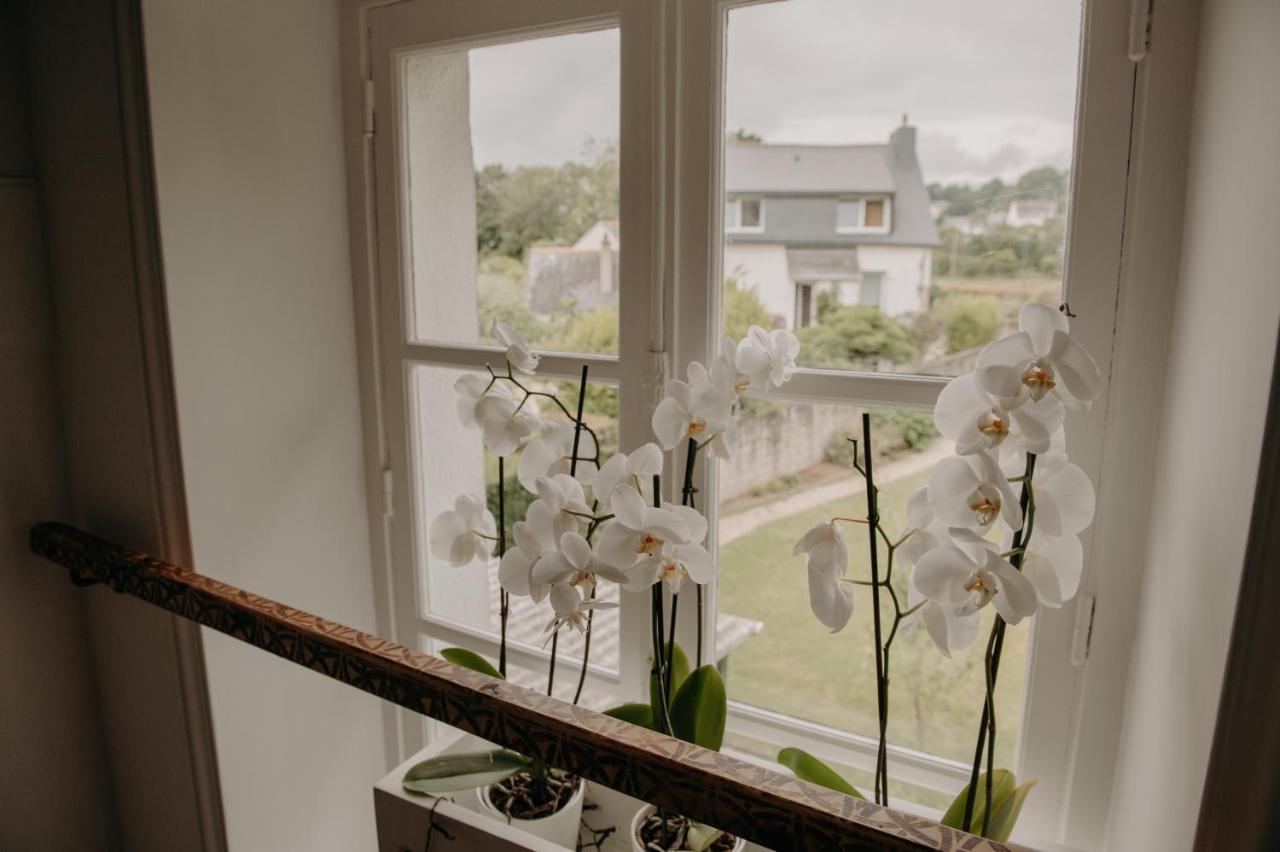 Bed and Breakfast Le Banellou Quimper Esterno foto