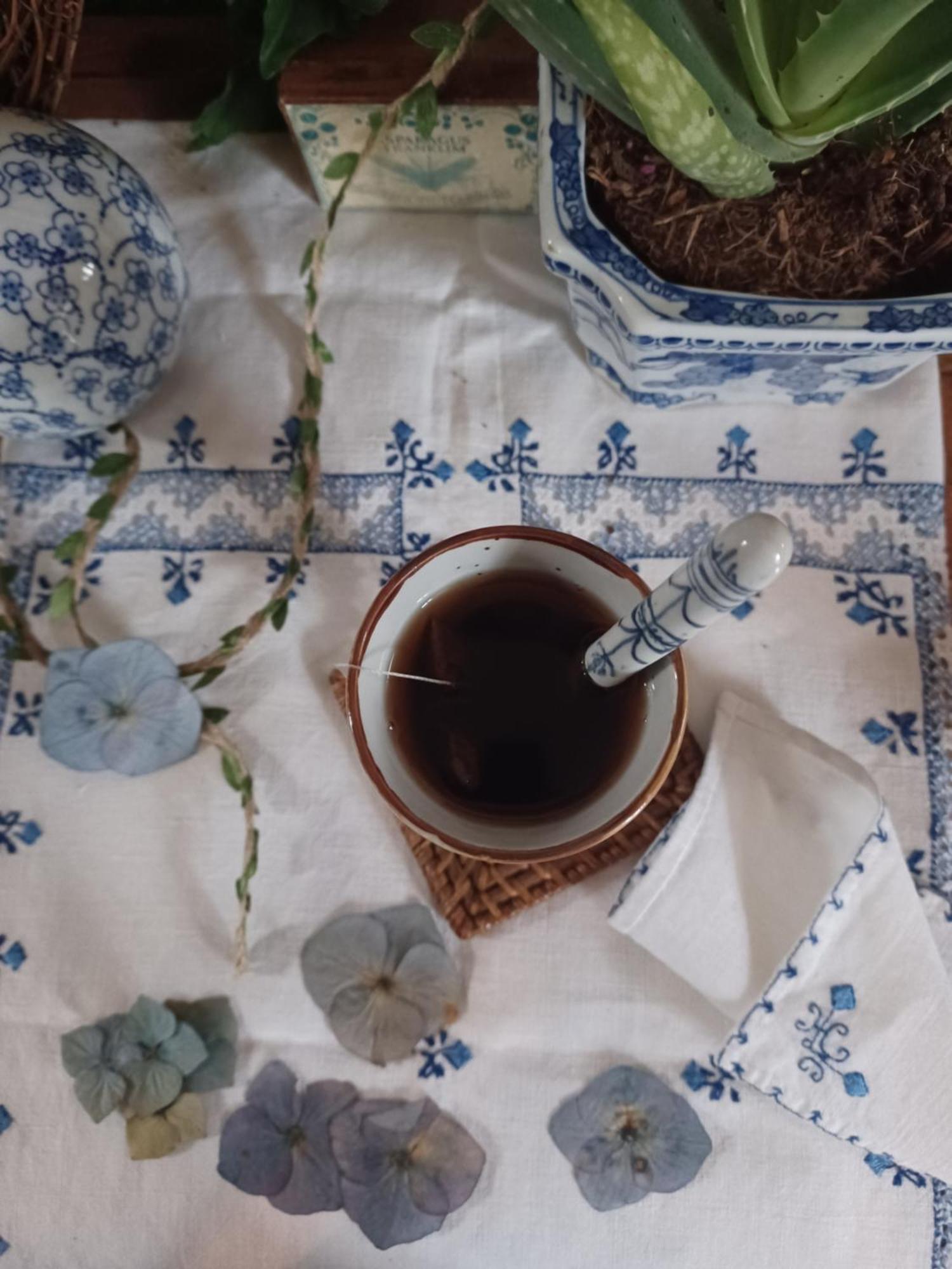 Bed and Breakfast Le Banellou Quimper Esterno foto