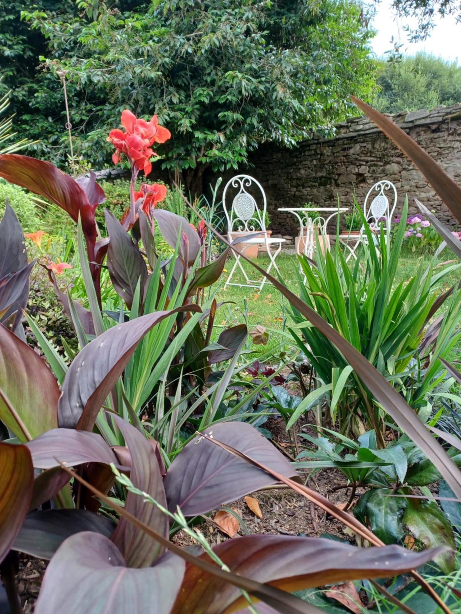 Bed and Breakfast Le Banellou Quimper Esterno foto
