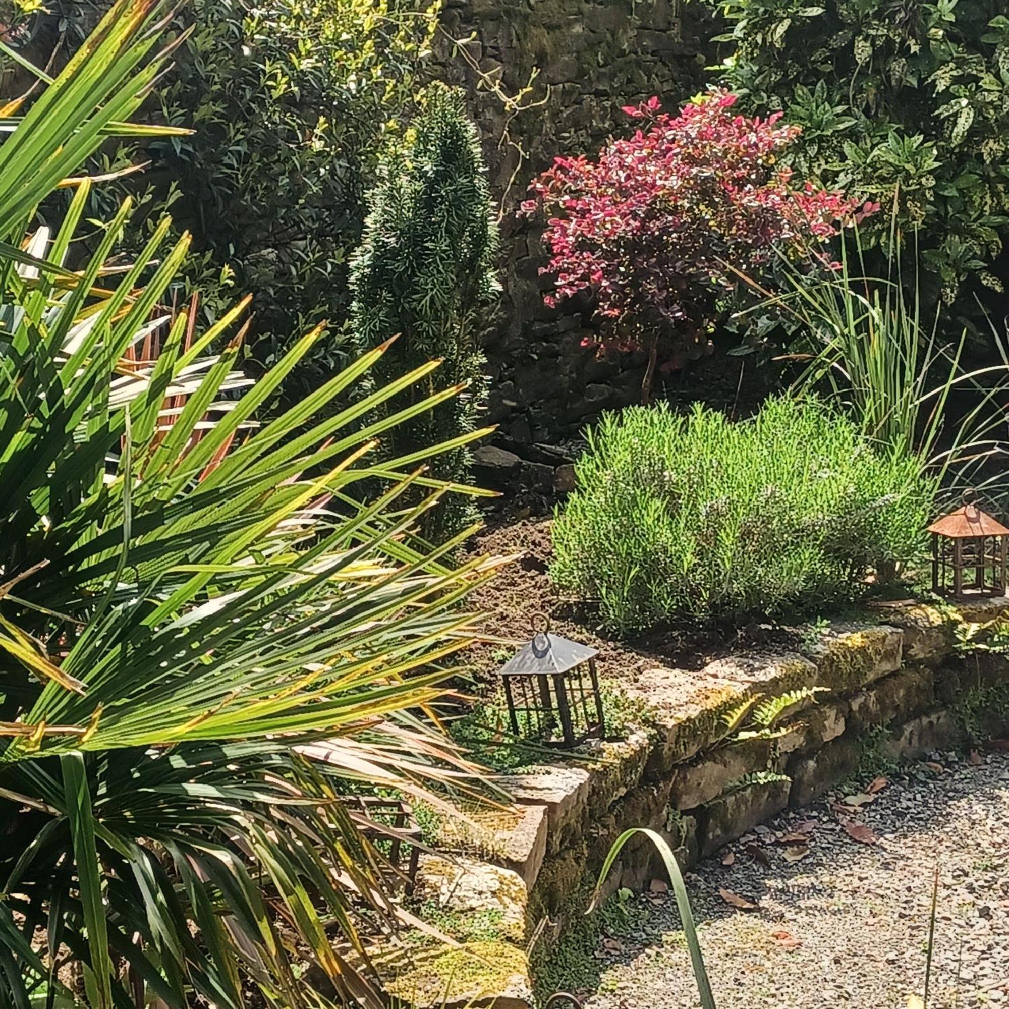 Bed and Breakfast Le Banellou Quimper Esterno foto