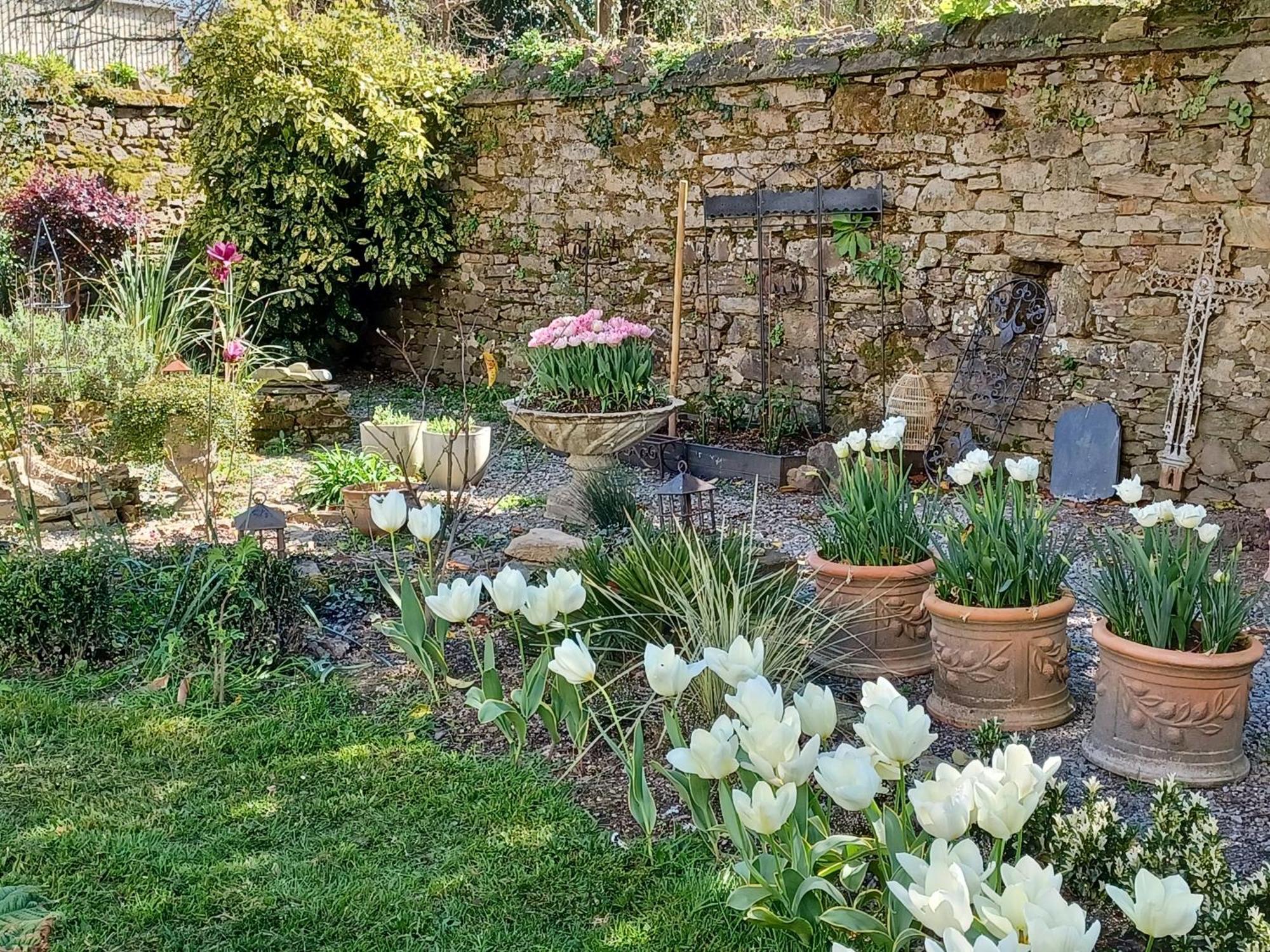 Bed and Breakfast Le Banellou Quimper Esterno foto