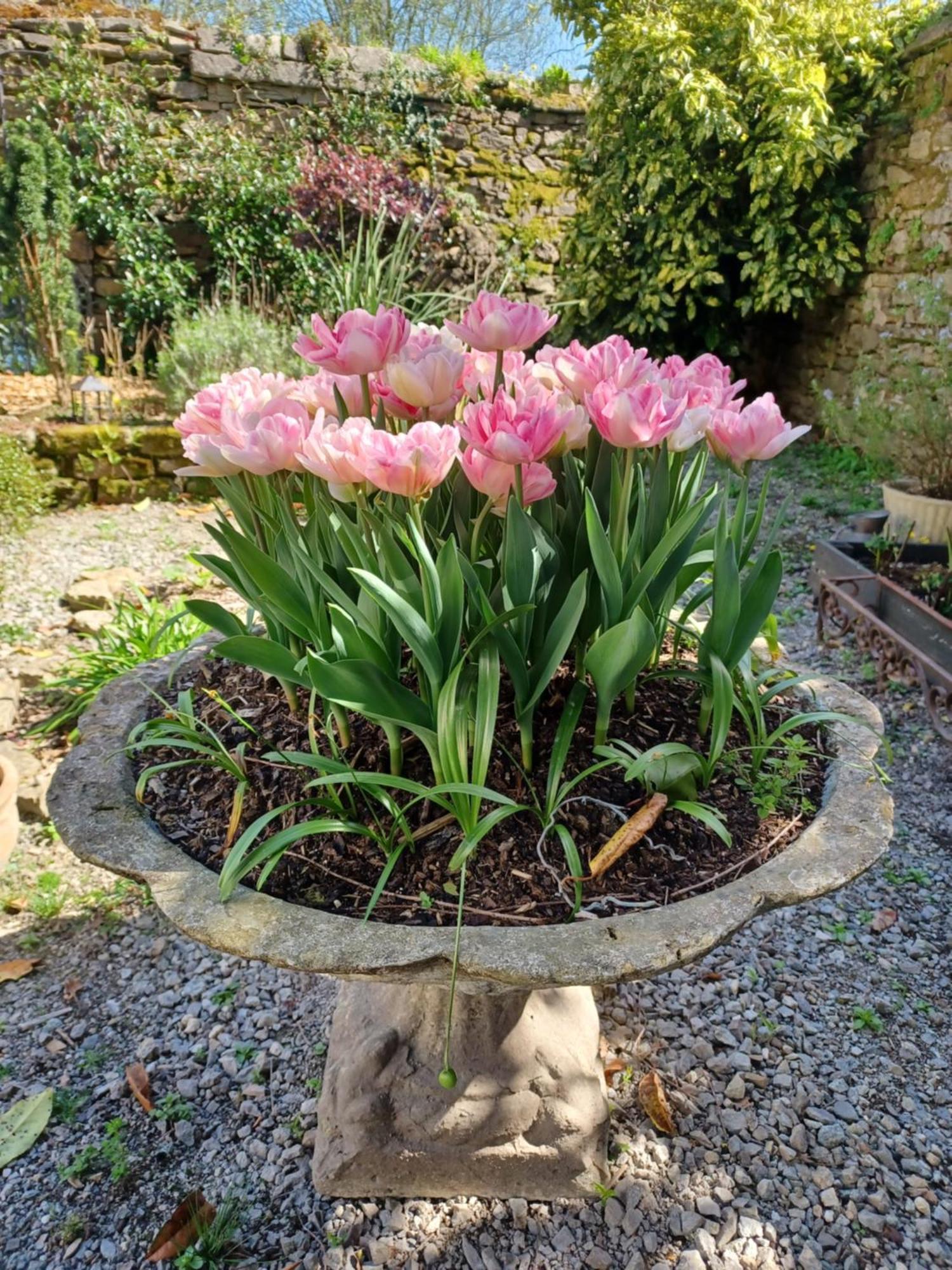 Bed and Breakfast Le Banellou Quimper Esterno foto