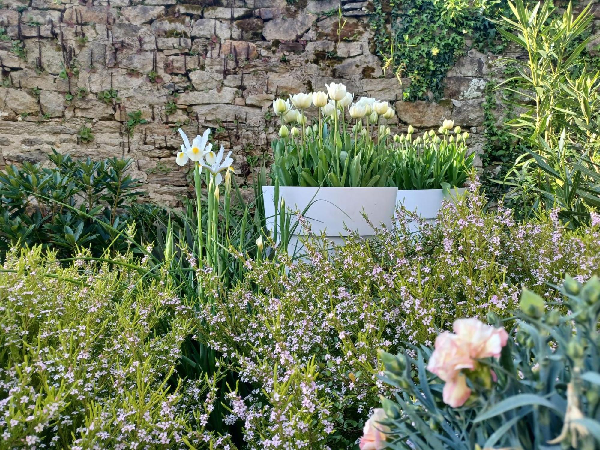 Bed and Breakfast Le Banellou Quimper Esterno foto