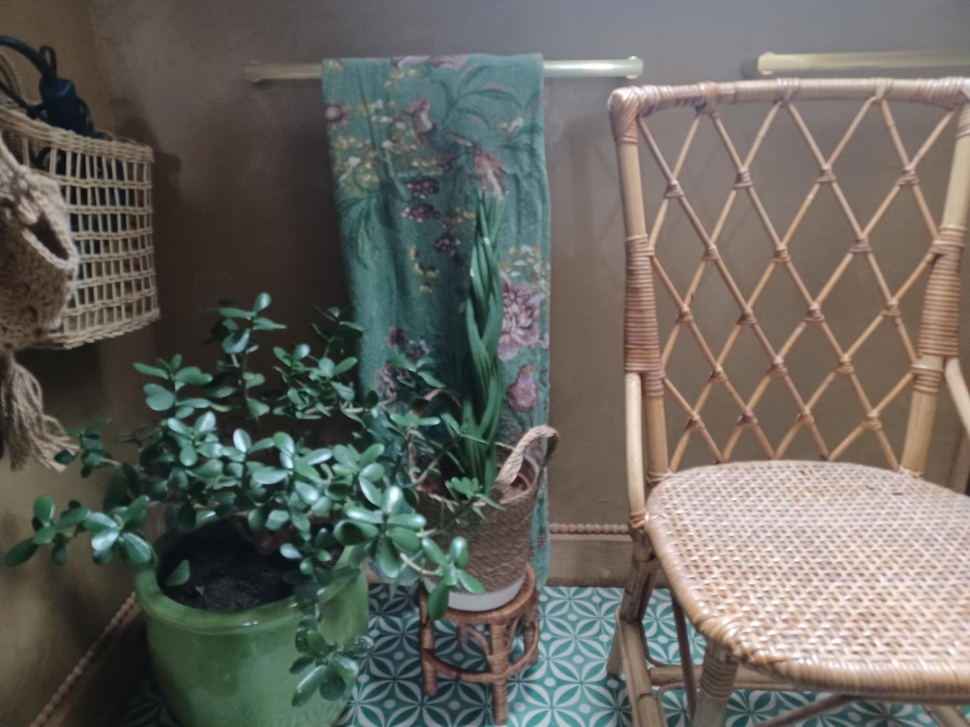 Bed and Breakfast Le Banellou Quimper Esterno foto